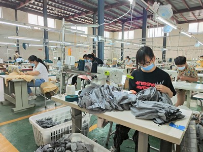 周口淮阳:“引凤还巢”为乡村振兴提速