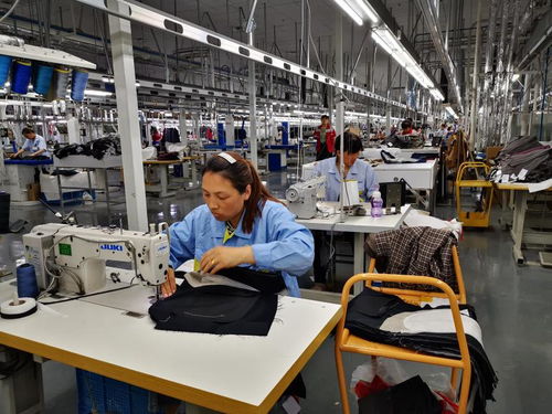 陕西日报全媒体行动走进咸阳 杜克普 智 造 服装可实现在线设计定制