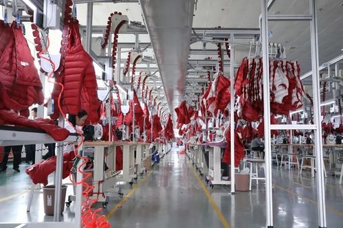 江西共青城 奏响“项目为王”最强音，服装制造业跑出发展加速度